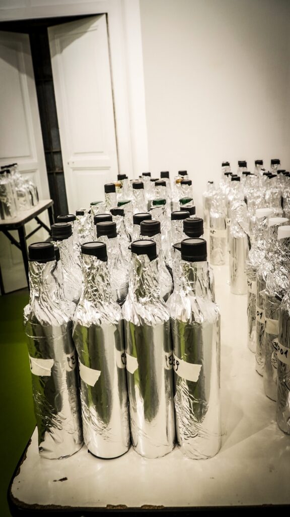 Olio a Villa Fiorentino 6