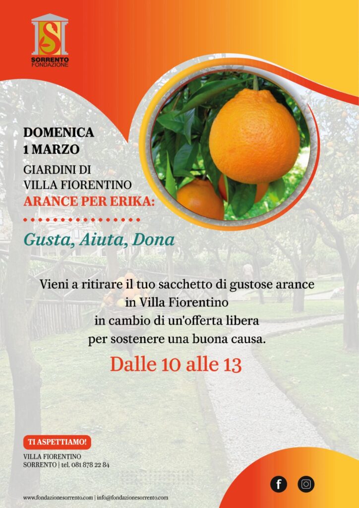 Distribuzione Arance a Villa Fiorentino