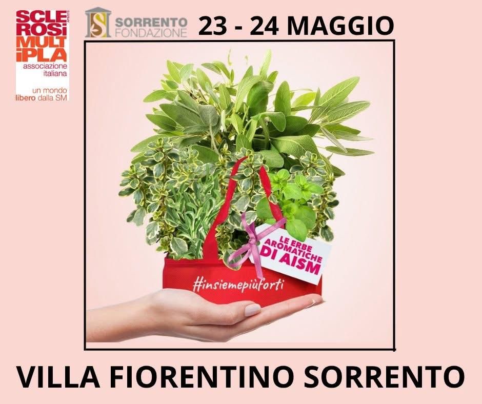 Evento Piante Aromatiche